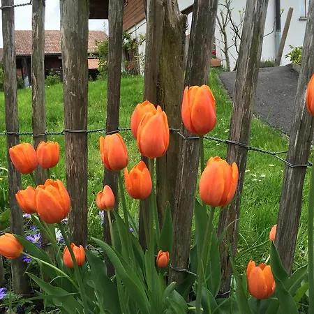 דירה Sam & Cindy Muehlemann אינטרלאקן