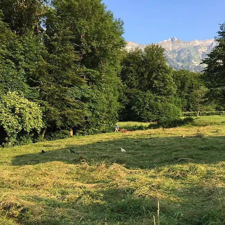 דירה Sam & Cindy Muehlemann