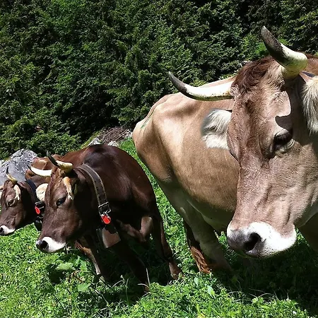 Sam & Cindy Muehlemann דירה