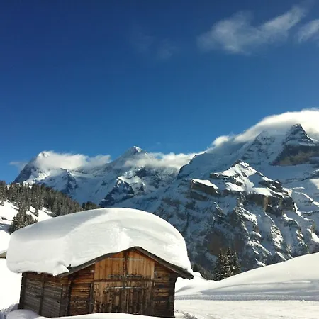 Lejlighed Sam & Cindy Muehlemann *