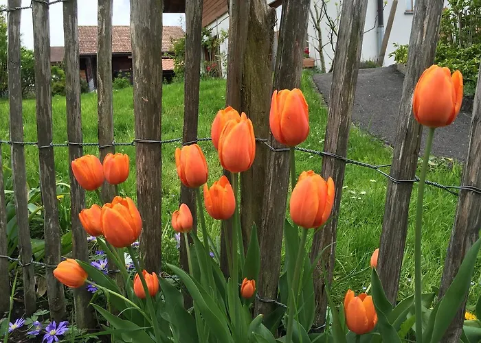 Appartamento Sam & Cindy Muehlemann Interlaken