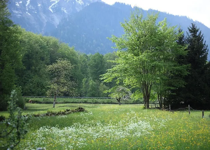 Sam & Cindy Muehlemann Interlaken