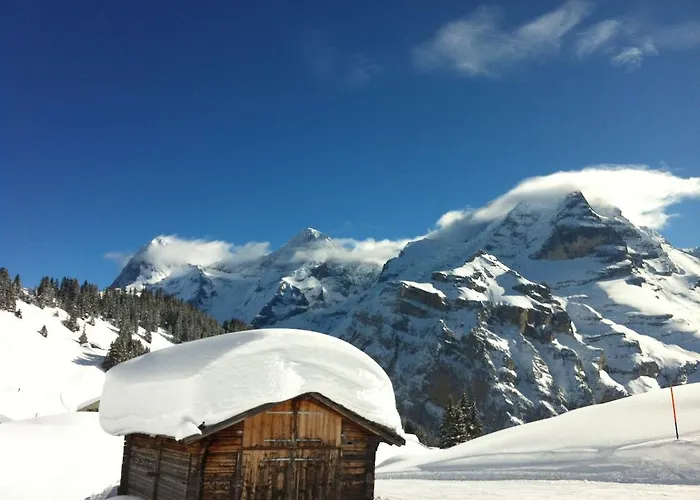 Apartamento Sam & Cindy Muehlemann *