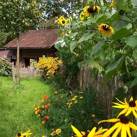 Sam & Cindy Muehlemann * Interlaken
