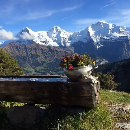 Apartament Sam & Cindy Muehlemann *