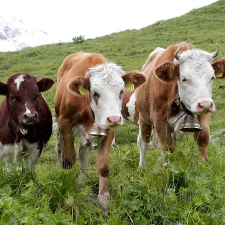 Sam & Cindy Muehlemann * Interlaken