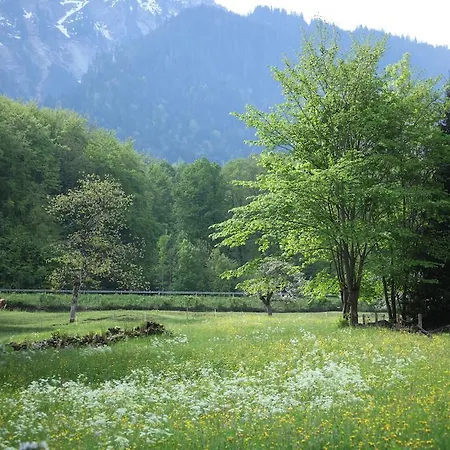 Sam & Cindy Muehlemann Interlaken