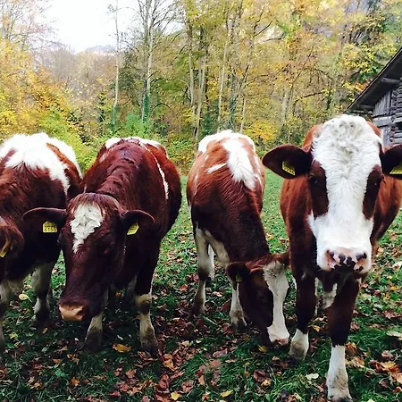 Apartament Sam & Cindy Muehlemann *