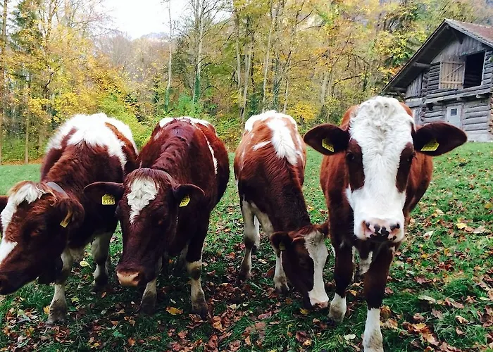 Lejlighed Sam & Cindy Muehlemann *