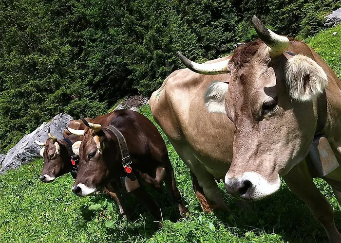 Sam & Cindy Muehlemann Apartamento